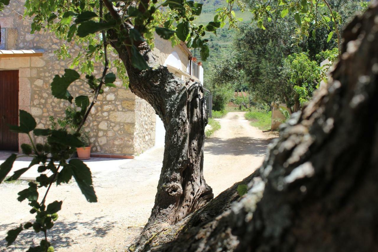 Vila Rustici L'Antico Torchio Castellammare del Golfo Exteriér fotografie